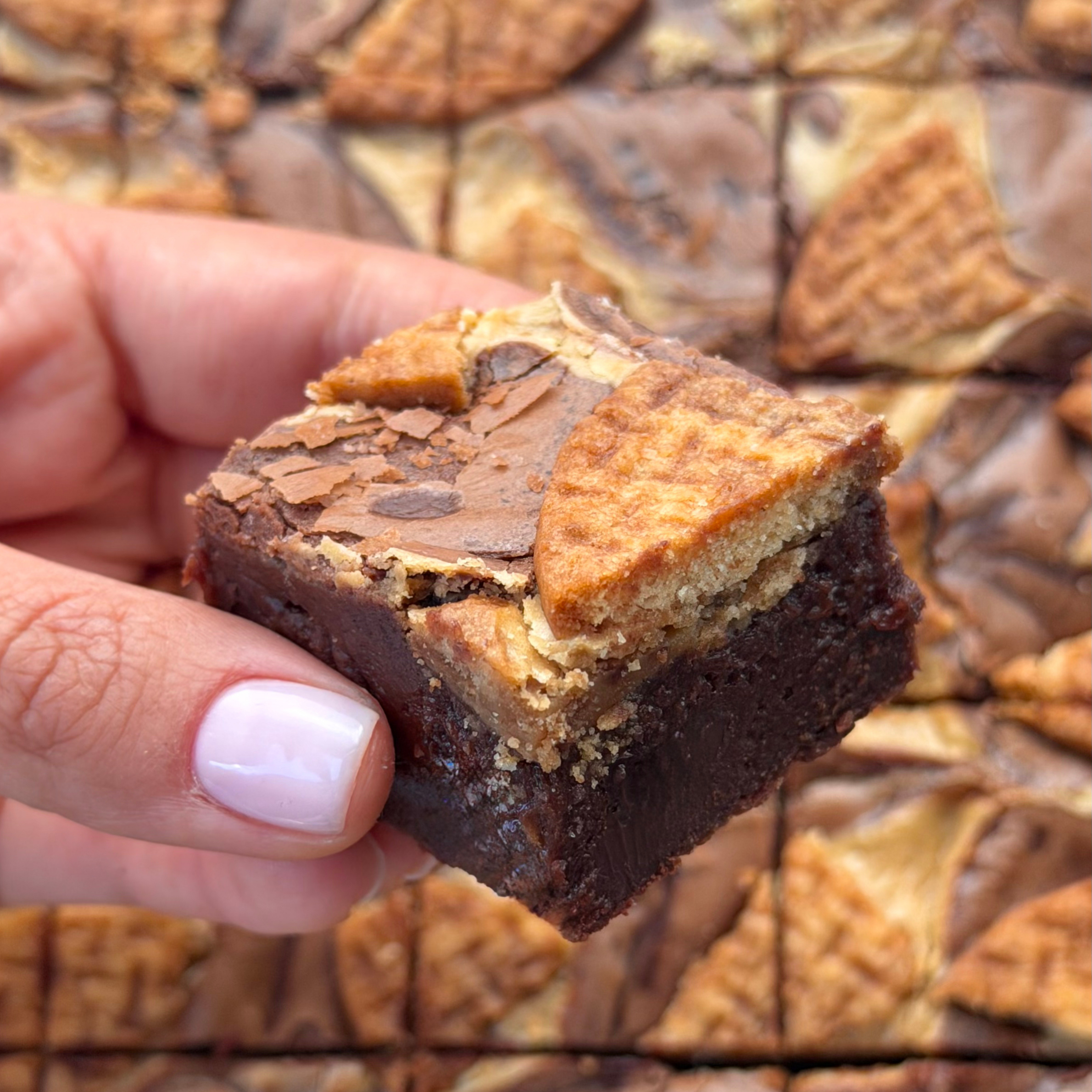SEPTEMBER BROWNIE MIX