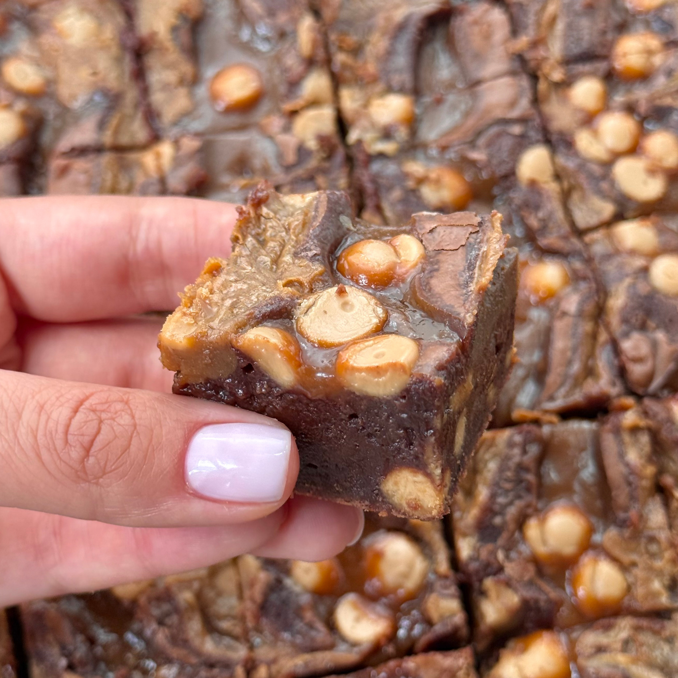 SEPTEMBER BROWNIE MIX