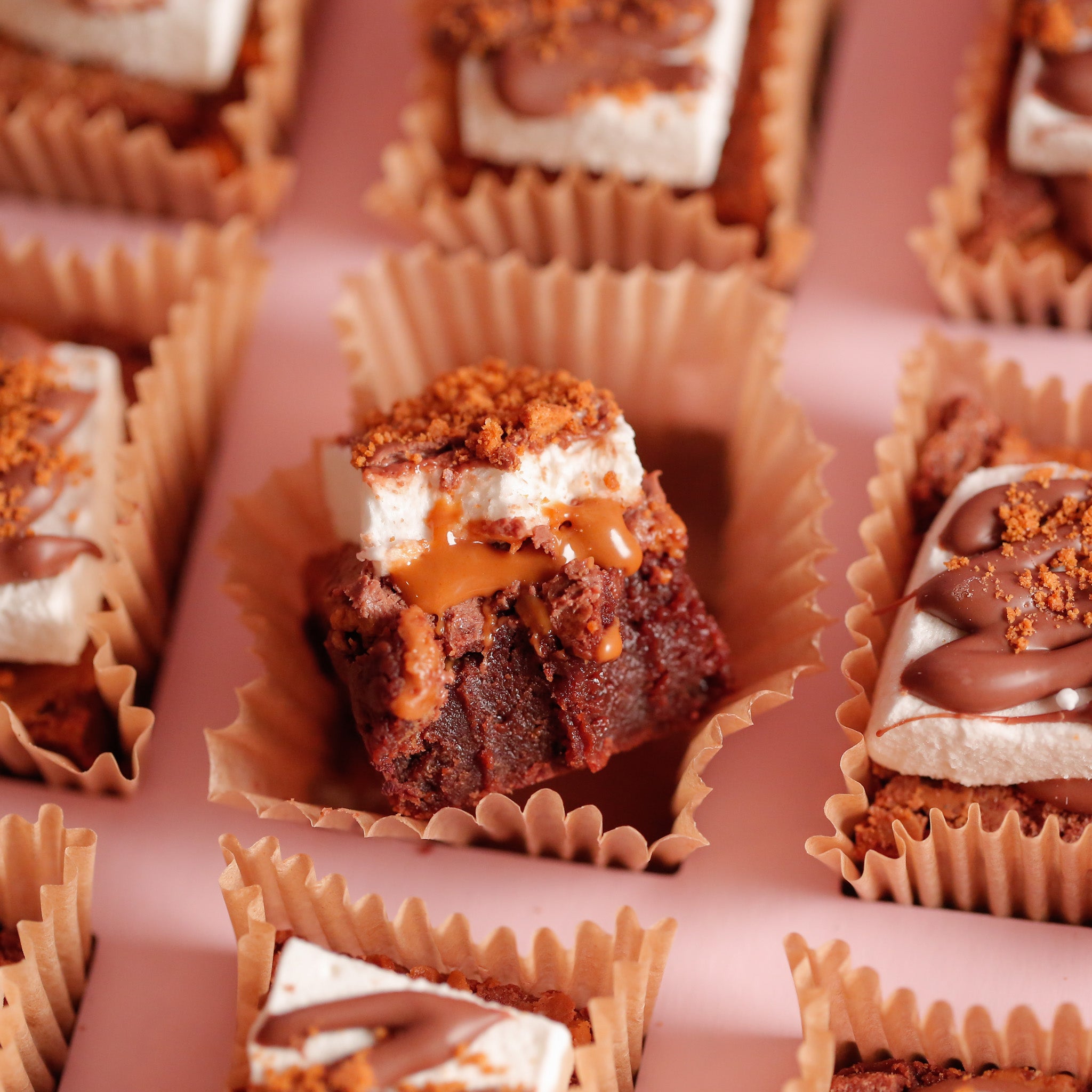 SMORES
